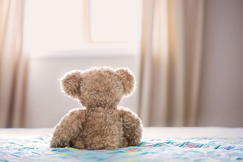 teddy bear